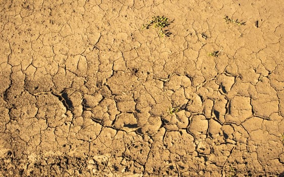 Background of dry cracked earth, parched earth, texture of earth dirt, desert, global warming, climate change.