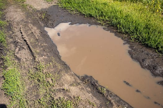 Close-up of a puddle of water on a muddy country road with a track.