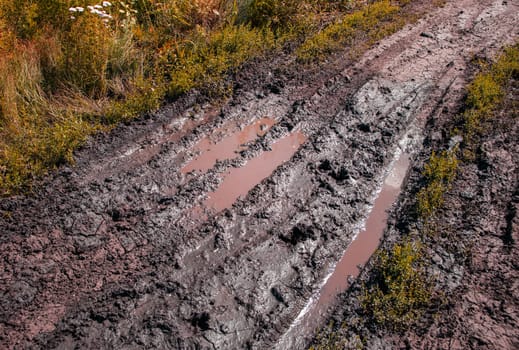 Close-up of a puddle of water on a muddy country road with a track.