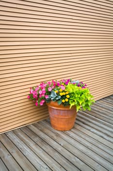 Colorful flowers in big earthenware jar on wooden siding background. Decorative flowers on wooden pavement of the street