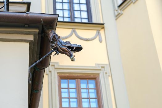 decorative part of the drain for the water of the Nesvizh castle.Belarus.