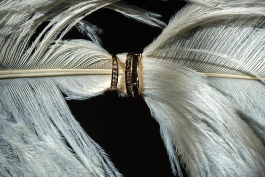 Two wedding rings lie in white feathers. The concept of love.