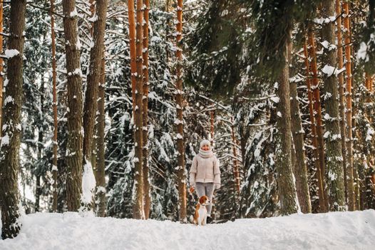 a woman on a winter day with her pet dog beagle in the winter forest playing.