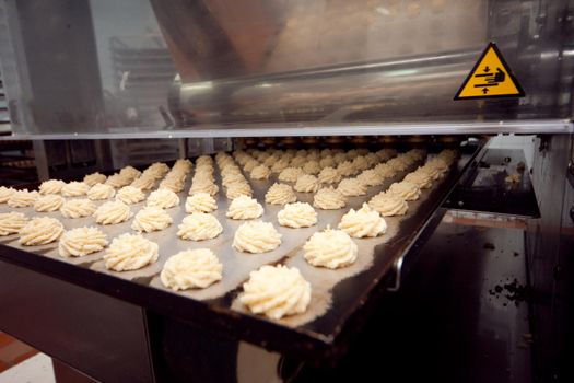 cookie making machine in the factory.