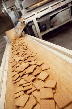 cookie making machine in the factory.