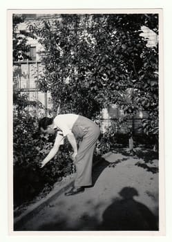 THE CZECHOSLOVAK REPUBLIC - CIRCA 1940: Vintage photo shows man in the garden.