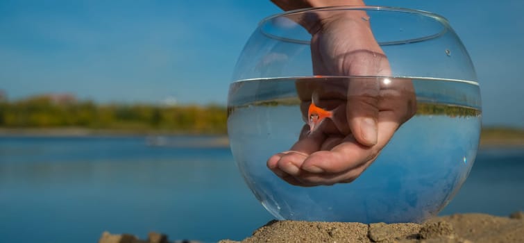 A woman catches a goldfish from a round aquarium on the sand on the lake