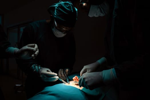 Surgical team performing surgery to patient in sterile operating room. In a surgery room lit by a lamp, a professional and confident surgical team provides medical care to an unconscious patient.