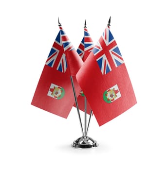 Small national flags of the Bermuda on a white background.