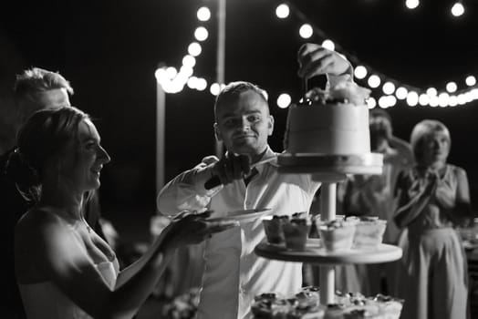 newlyweds happily cut, laugh and taste the wedding cake