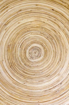 Top view closeup of brown slice of freshly cut wood texture with dense concentric growth rings.
