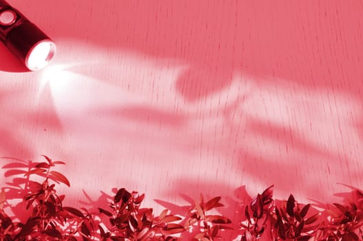 Lantern and ray of light in the dark on a wooden surface with twigs of myrtle plant. Surface with copy space. Red light.