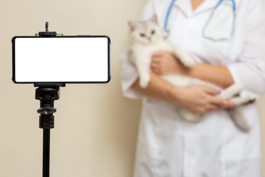 A smartphone with a white blank screen stands on a tripod, behind a female veterinarian in a white coat, holding a white cat in her arms. Copy space