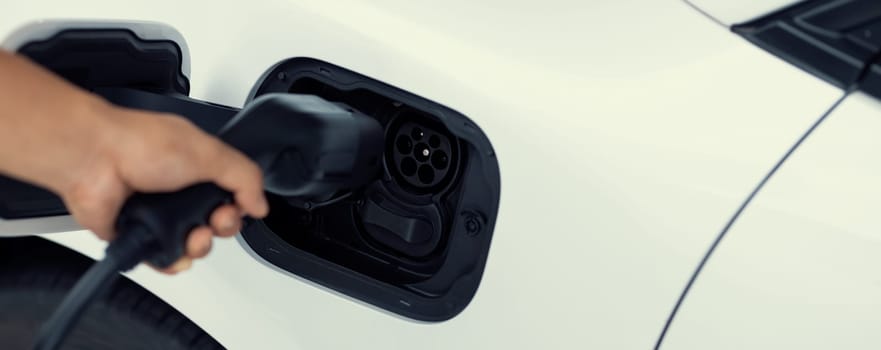 Closeup focus hand insert EV charger plug to electric vehicle from charging station. Progressive alternative clean energy engine car technology. Renewable EV car for eco-friendly transportation idea.
