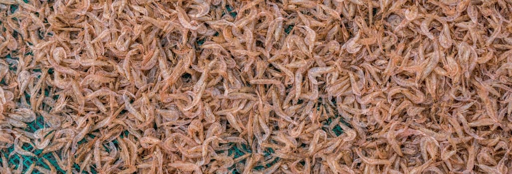 Plenty of dry shrimp background market for sell. Close-up pile texture detail bright light pink pale tone. Long, panorama format for crop banner.