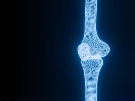 Knee joint 3D rendering Blue glowing wireframe on black background with copy space for text. Bone human skeleton anatomy of the body. Medical health care science concept. Realistic 3D Rendering.