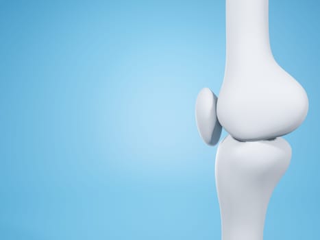 Knee joint on blue background with copy space for text. Bone human skeleton anatomy of the body. Medical health care science concept. Realistic 3D Rendering.