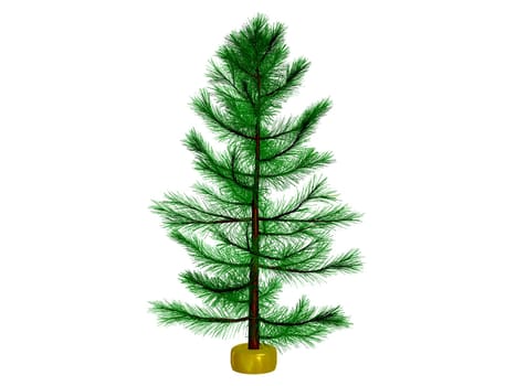 3D Christmas tree or pine tree 3D ready to decorate , isolated on white background. clipping path.