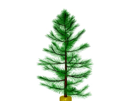 3D Christmas tree or pine tree 3D ready to decorate , isolated on white background. clipping path.