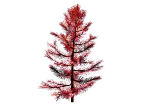 3D Christmas tree or pine tree 3D ready to decorate , isolated on white background. clipping path.