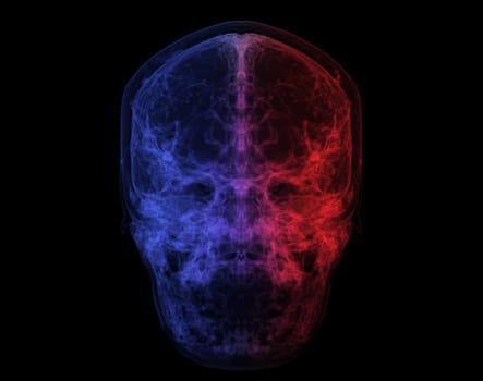 Human Skull, Brain by CT Scan. X-ray Visualization Inside Of Skull. 3D Illustration Render Colorful mode.