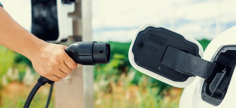 Progressive natural scenic where hand insert charging plug to electric vehicle from charging station with natural background. Future energy concept of EV car powered by sustainable electric energy.