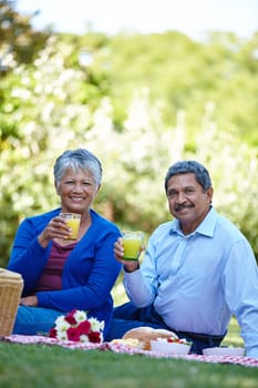 Heres to living life. a loving senior couple enjoying a picnic together outdoors
