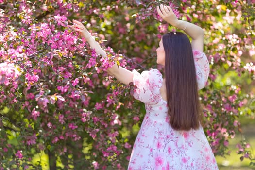 A pretty girl with long hair, in a light pink dress standing near pink blooming trees, hands up, in the garden. Rear view. Close up. Copy space