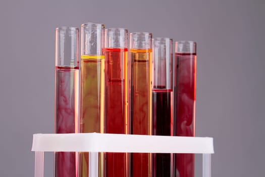 Colorful rows of laboratory test tubes with blood. Isolated on gray background.