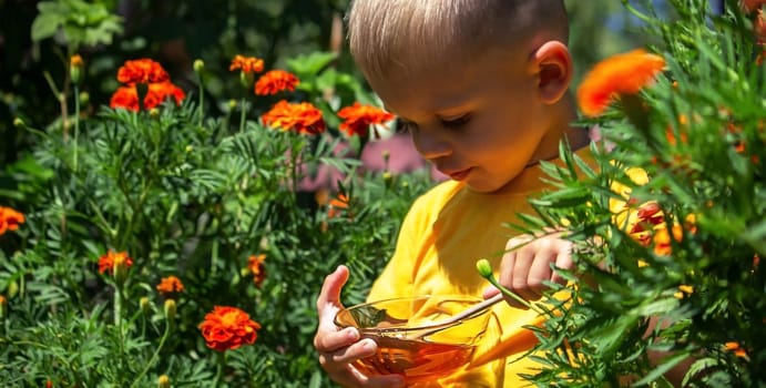 a child eats honey in the garden from a transparent bowl. nature selective focus
