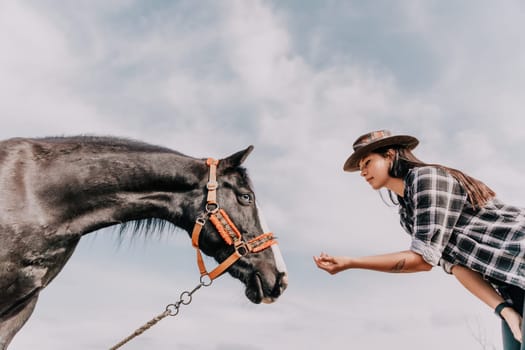 Cute happy young woman with horse. Rider female drives her horse in nature on evening sunset light background. Concept of outdoor riding, sports and recreation.
