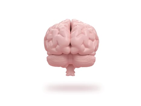 Human brain frontal on isometric white background. 3d rendering.