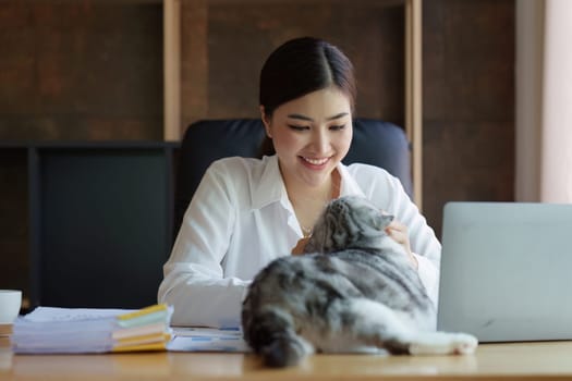 Business person relaxing and playing with cat at home office. Strategy, chart, finance report concept.