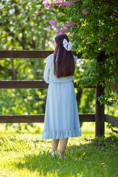 romantic brunette girl with long hair with white bow, in light blue dress, stands in the garden, nearby blooming lilac bush , in sunny day. Back view. Close up. Vertical. copy space