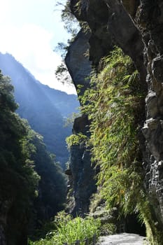 Vertical shot of a narrow path at the ravine and the hills in the background in Taiwan