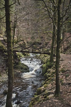 Vertical shot of the bridge above the creek in Blackwood forest. Ravenna Gorge, Germany.
