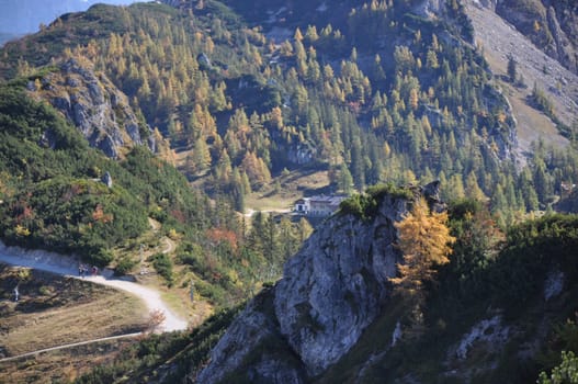 Small mountain pasture in the mountains around Berchtesgaden, near the Jenner mountain, Bavaria