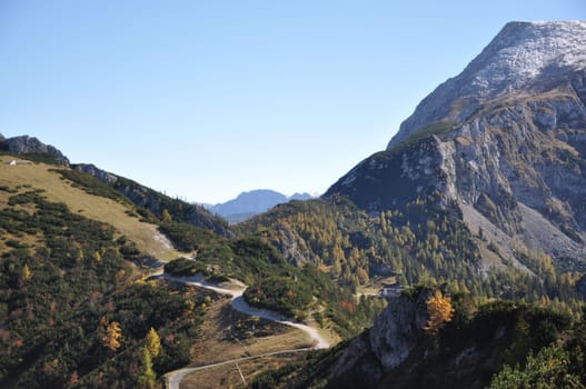 Small mountain pasture in the mountains around Berchtesgaden, near the Jenner mountain, Bavaria