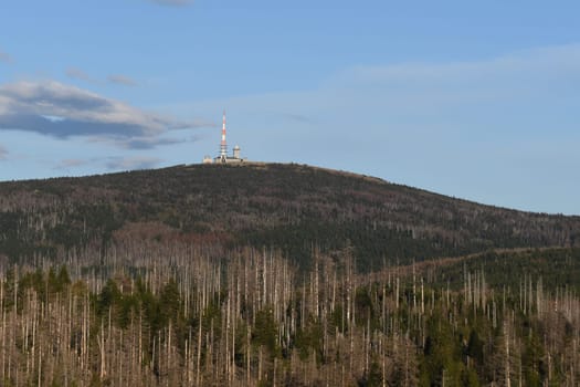 Radio tower and buildings on the Brocken mountain top under the blue sky and dense dead trees eaten by the bark beetles in the Harz mountains