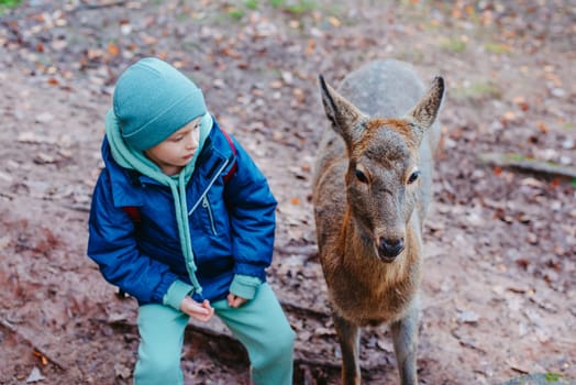 Cute child feeding a fawn. Cute little boy is feeding a baby fawn in the forest. Image with selective focus. The boy feeds the deer with leaves, the reserve, wild animals, the connection of animals with people. Pretty boy with graceful animal at park. Kids adaptation.