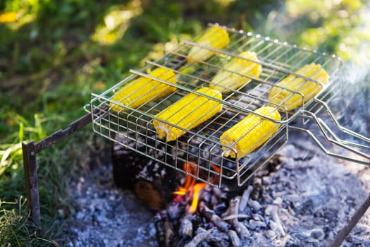 Fried corncobs of yellow juicy corn cooked on a wire rack. Outdoor recreation