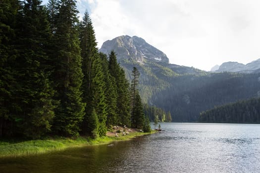 Mountain landscape, Durmitor National Park, Montenegro. Beautiful view of the lake benches near the lake in a beautiful forest