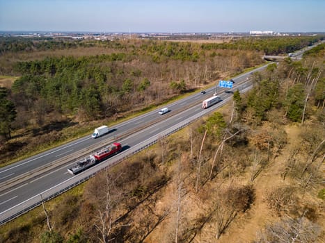 Forest dieback in the Hessian Ried at the highway A67 near Darmstadt, spruce trees are diseased and damaged by drought and insects