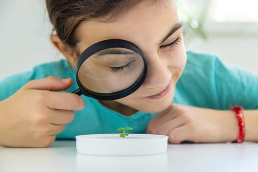 A child examines a plant under a magnifying glass. Selective focus. Kid.