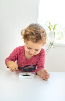 A child examines a plant under a magnifying glass. Selective focus. Kid.