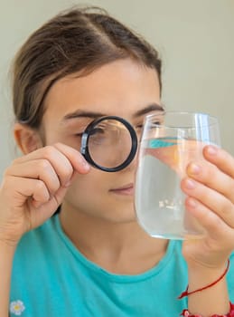 The child examines the water under a magnifying glass. Selective focus. Kid.