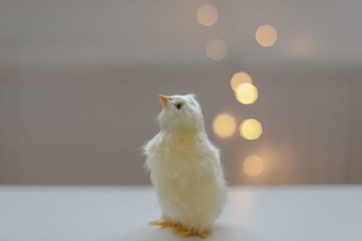 cute decorative Easter chicken on abstract blurred white background. festive composition for Easter holiday, spring season. template for design. copy space.