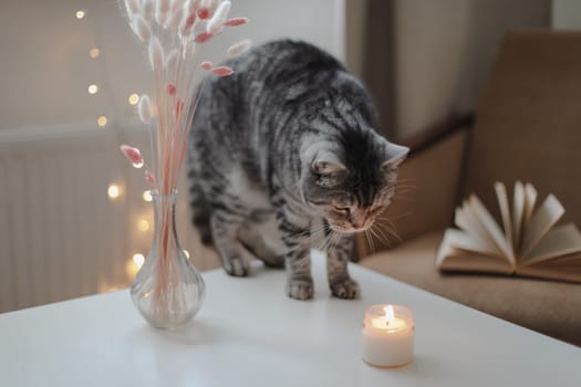 Still life details, candle a funny cat on a table in living room. Cozy home atmosphere. Lazy winter weekend
