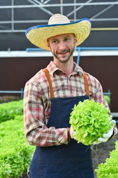 Farmer holding green oak lettuce in his hands. Hydroponic plant harvest and healthy organic food concept.