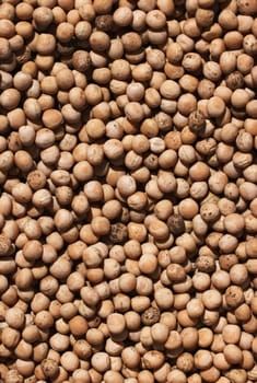 Dry seeds of peas for sowing. Ripe green pea seeds close-up. Preparation for garden season in early spring. Top down view. Preparation of seeds for sowing. Agricultural background.